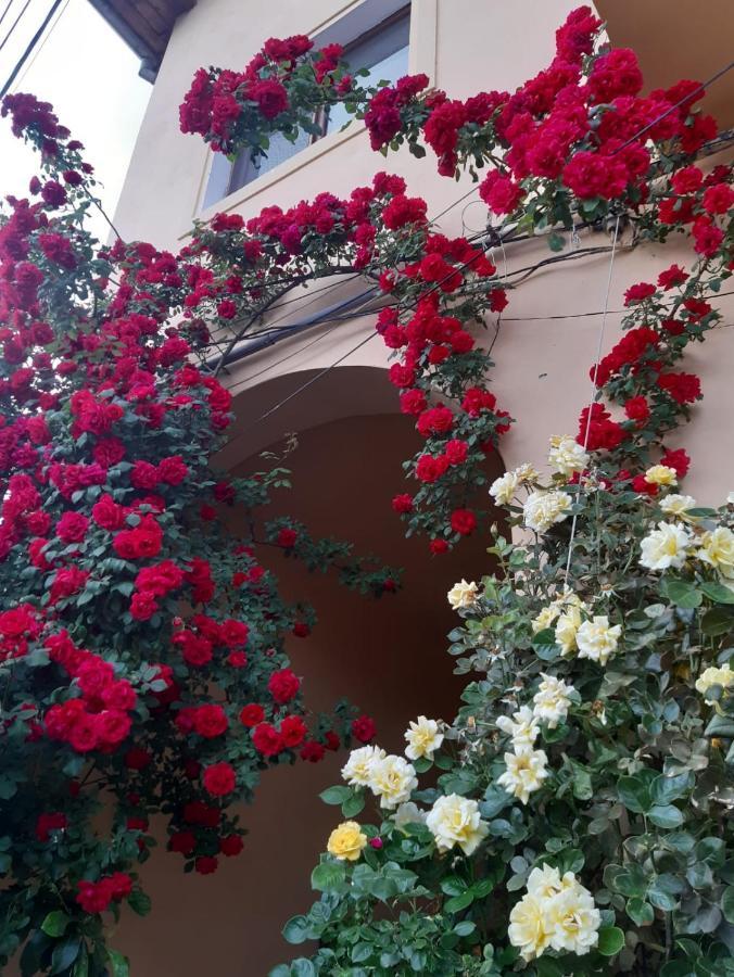 Pensiunea Cristiana Curtea de Argeş Exterior foto